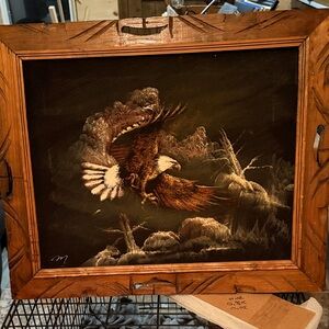 Framed velvet Eagle Painting